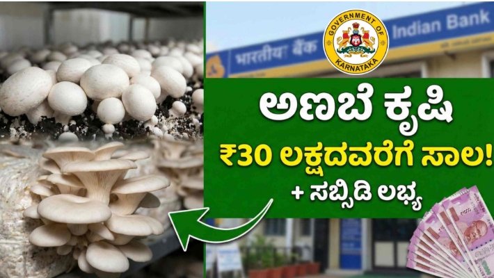 ಅಣಬೆ ಕೃಷಿಗೆ ಬಂಡವಾಳದ ಚಿಂತೆ ಬಿಡಿ: ₹30 ಲಕ್ಷದವರೆಗೆ ಸಾಲ ಮತ್ತು ಸಬ್ಸಿಡಿ ನೀಡುವ 4 ಸರ್ಕಾರಿ ಯೋಜನೆಗಳ ಪಟ್ಟಿ.