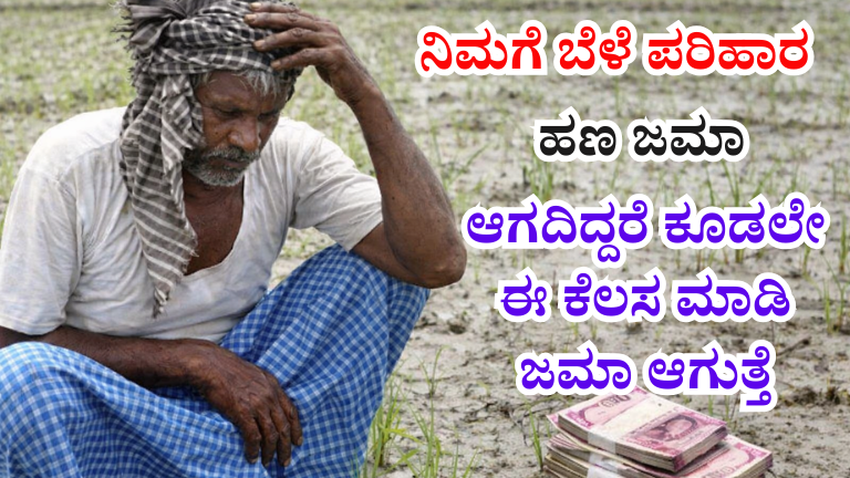 Bele Parihara: ಬೆಳೆಹಾನಿ ಪರಿಹಾರ ಹಣ ಜಮಾ ಆಗದೇ ಇರಲು ಪ್ರಮುಖ 7 ಕಾರಣಗಳು! ಇವು ಸರಿಪಡಿಸಿದರೆ ತಕ್ಷಣ ಹಣ ನಿಮ್ಮ ಖಾತೆಗೆ