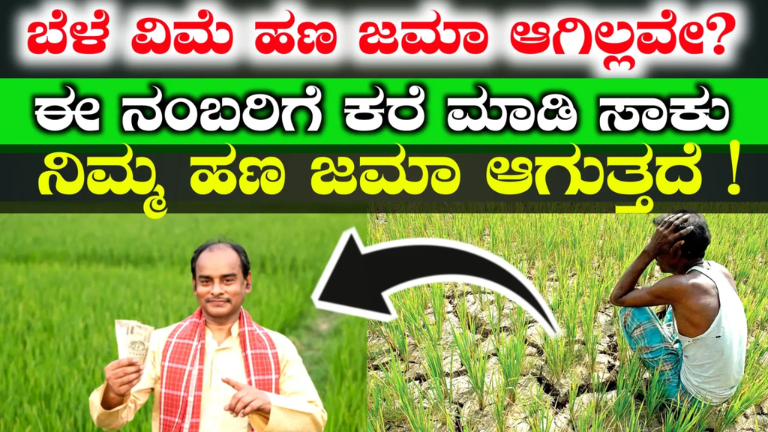 ಬೆಳೆ ವಿಮೆ ಹಣ ಜಮಾ ಆಗಿಲ್ಲವೇ? ಈ ನಂಬರಿಗೆ ಒಂದು ಕರೆ ಮಾಡಿದರೆ ಸಾಕು – ನಿಮ್ಮ ಸಮಸ್ಯೆಗೆ ತಕ್ಷಣ ಪರಿಹಾರ!